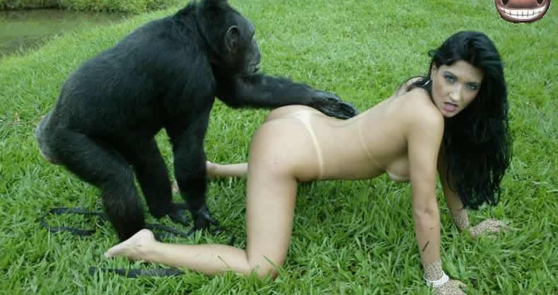 Bulgarian monkey sex video & pics with from family archive. 