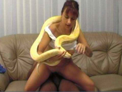 Brazilian Snake Sex