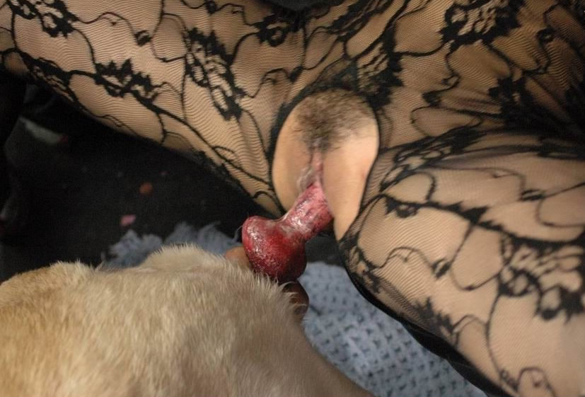 This is her first experience of sex with a dog. 