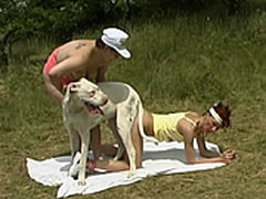 Compilation Bestiality Orgy On A Lawn