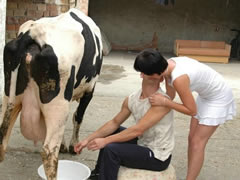 Dutch Cow Sex Videos