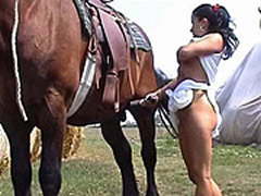 Cambodian Horse Sex