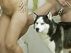 Download Amateur Zoo Film With Real Dog Sex