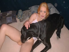Dutch Bestiality Party With Debutant Blonde