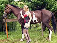 DVD's Group Bestiality Horse Sex