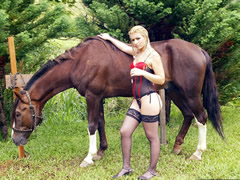 Danish Bestiality Orgy With Horse